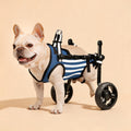 2025 Upgraded Small Dog Wheelchair for Hind Legs
