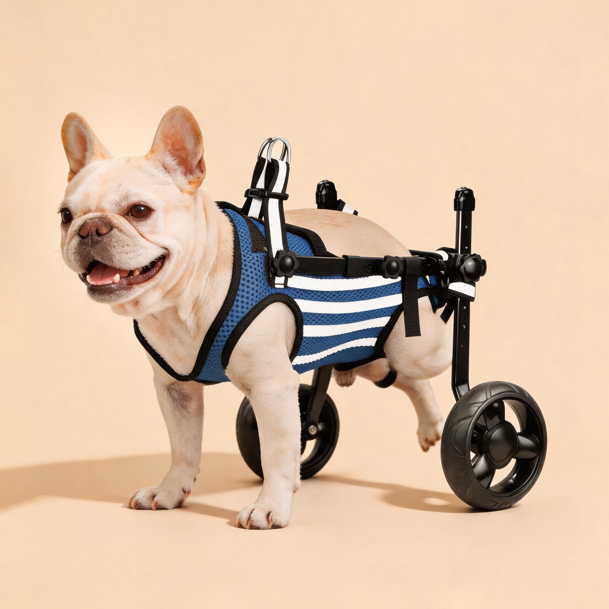 2025 Upgraded Small Dog Wheelchair for Hind Legs