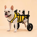 XS Small Dog Wheelchair for Back Legs