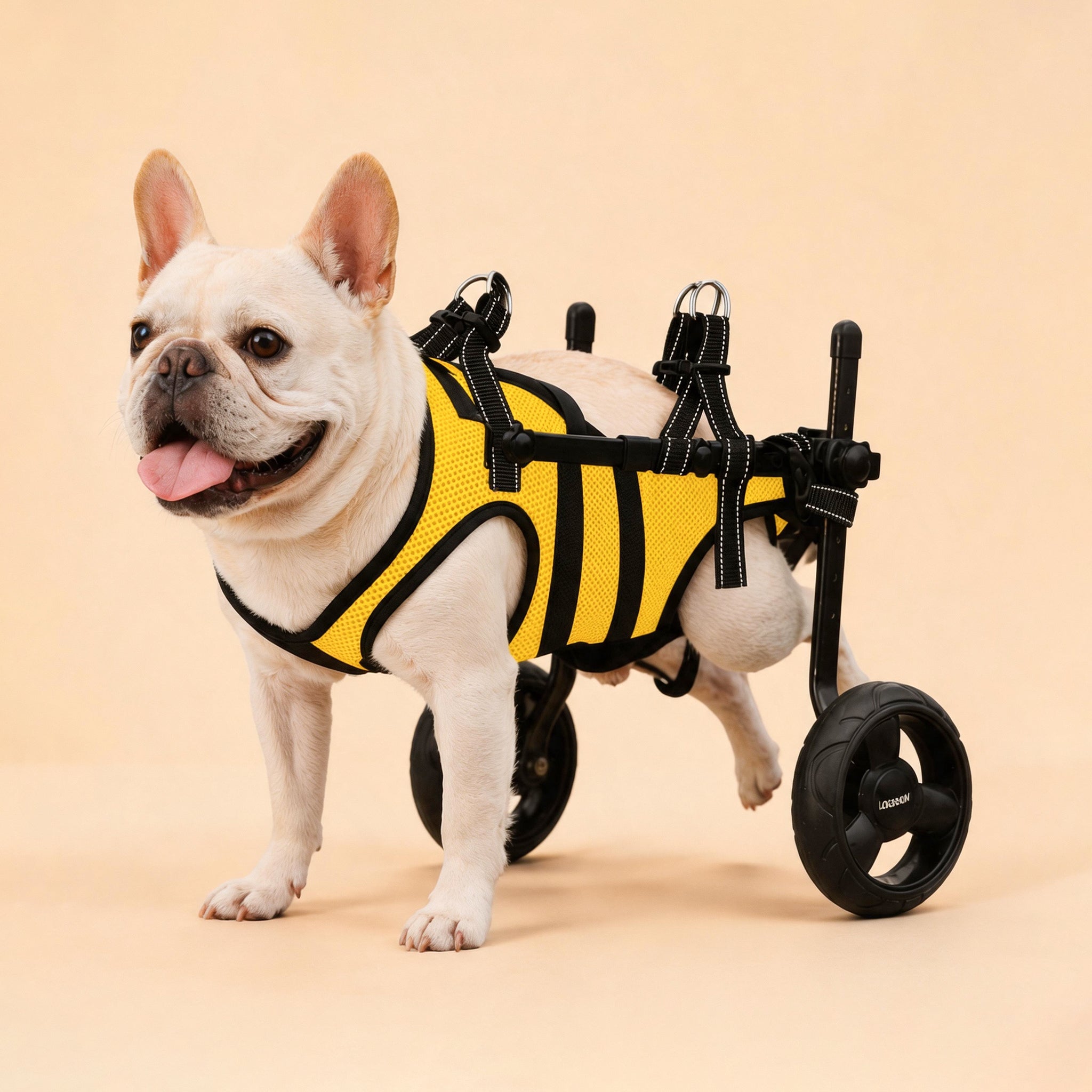 XS Small Dog Wheelchair for Back Legs