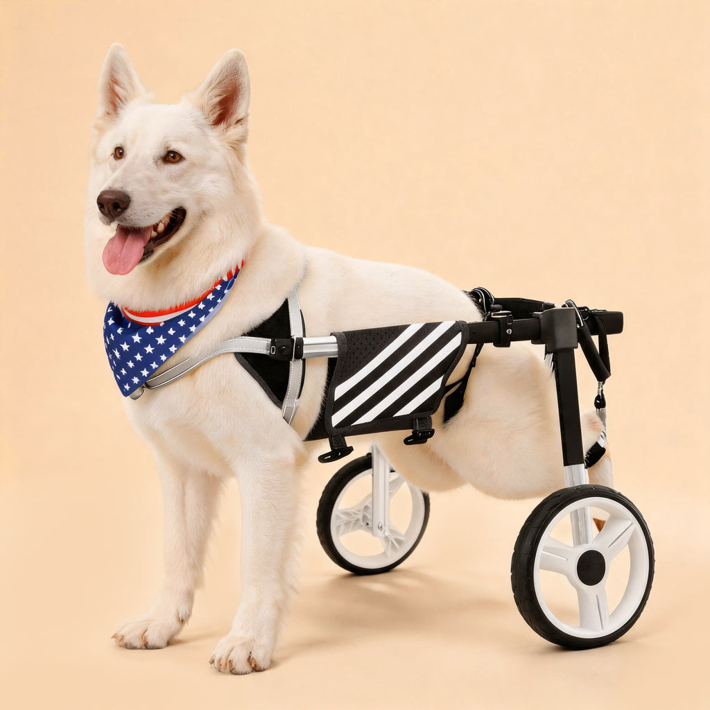 Large Dog Wheelchair for Back Legs
