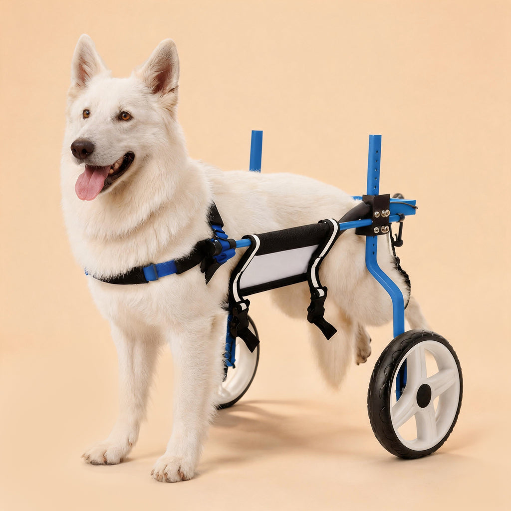 Large Heavy Duty Dog Wheelchair for Back Legs
