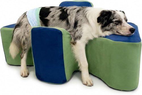 KLAPUW disabled dog support cradle, size M