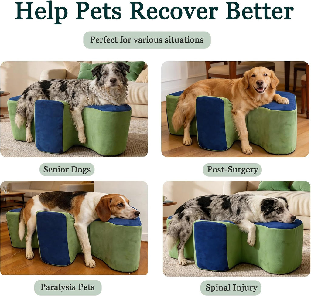 Dog support cradle use cases for senior and recovering dogs