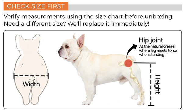 Dog wheelchair size chart showing where to measure width and height